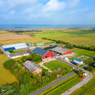Das liebe Vieh... Weiderinder ganz nah
