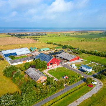 Das liebe Vieh... Weiderinder ganz nah