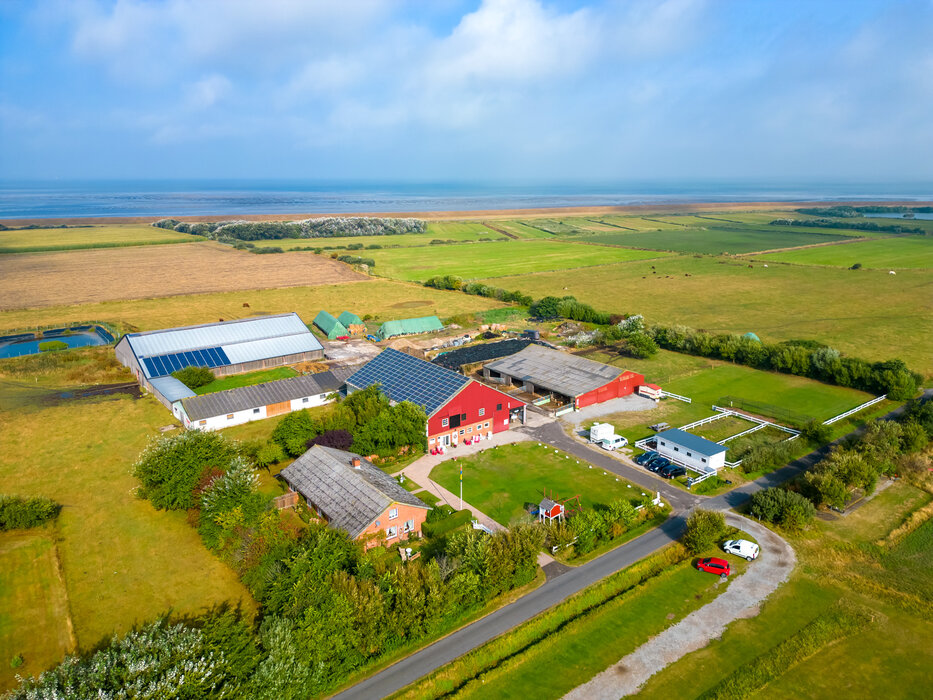Das liebe Vieh... Weiderinder ganz nah