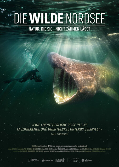 DWN_webplakat_