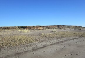 Das nordfriesische Wattenmeer: Landschaftsformung im Spannungsfeld Mensch – Natur