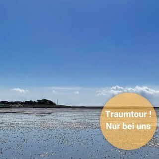 Wattwanderung zu den Halligen Oland und Langene&szlig; mit Nationalparkf&uuml;hrer Matthias Hansen