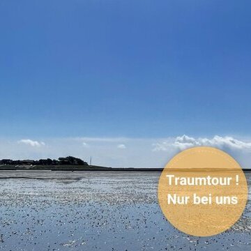 Wattwanderung zu den Halligen Oland und Langene&szlig; mit Nationalparkf&uuml;hrer Matthias Hansen