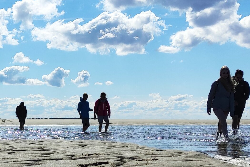 Wattwanderung nach F&ouml;hr