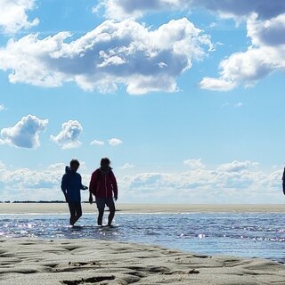 Wattwanderung nach F&ouml;hr
