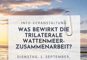 Vortrag