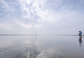 Wattwanderung von Amrum nach Föhr