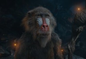Mufasa: Der König der Löwen