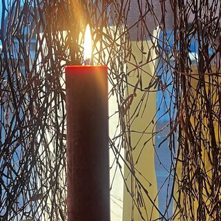 I Am Yoga Nidra Medi,