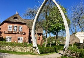 Umfangreiche Sammlungen zur Kulturgeschichte F&ouml;hrs 