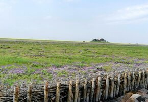 IMG_20210715_104401