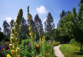 Nolde Museum Seebüll_Garten 2023