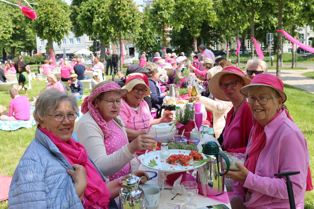 Picknick in Pink