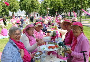 Picknick in Pink