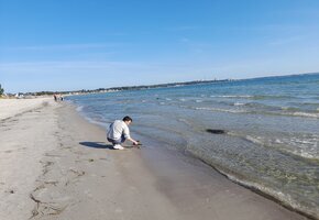 Kinder-Uni-Vorlesung mit Prof. Dr. Andreas Schmidt-Rhaesa: "Reiches Leben im Sandstrand" 