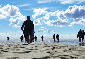 Kormoraninsel und Seehunde – Die unendlichen Weiten des Wattes