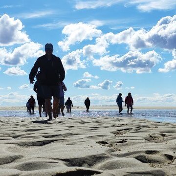 Kormoraninsel und Seehunde – Die unendlichen Weiten des Wattes