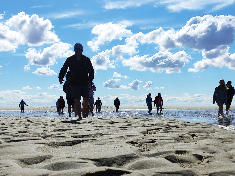 Kormoraninsel und Seehunde – Die unendlichen Weiten des Wattes