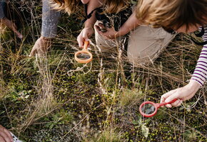 nkm-niebuell_gotteskoogsee-1080-5