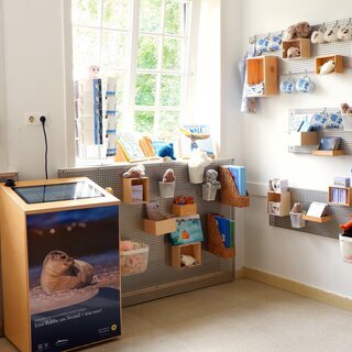 F&uuml;tterung der Aquarientiere im Nationalpark-Haus