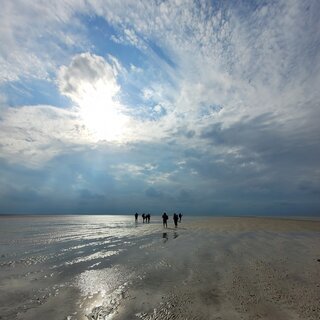 Wattwanderung in den Sonnenuntergang von F&ouml;hr nach Amrum