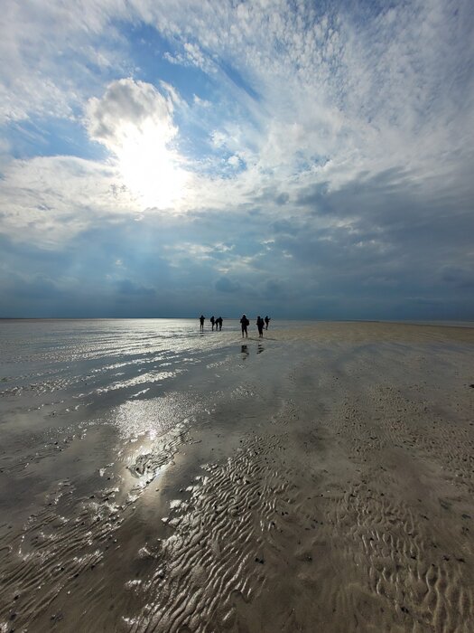 Wattwanderung in den Sonnenuntergang von F&ouml;hr nach Amrum