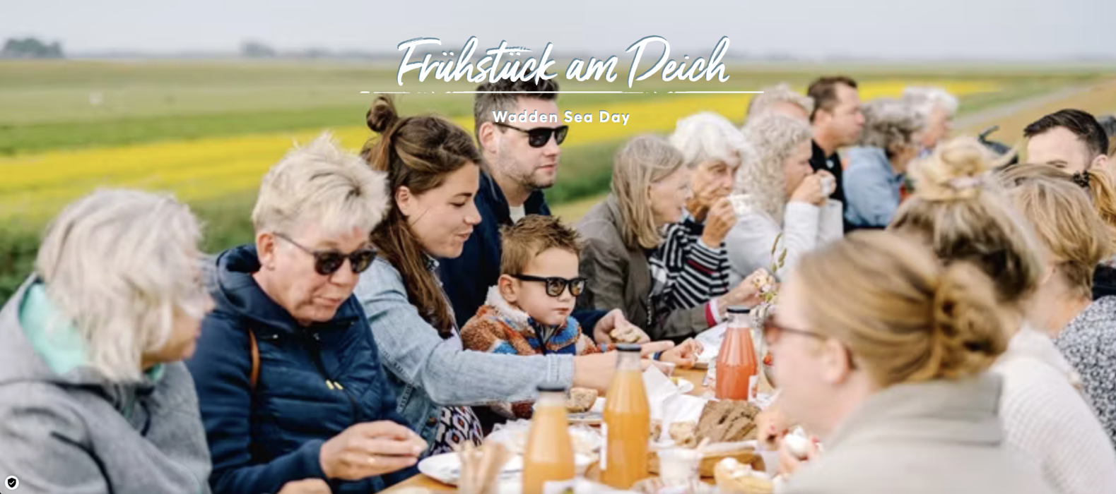 Fr&uuml;hst&uuml;ck am Deich