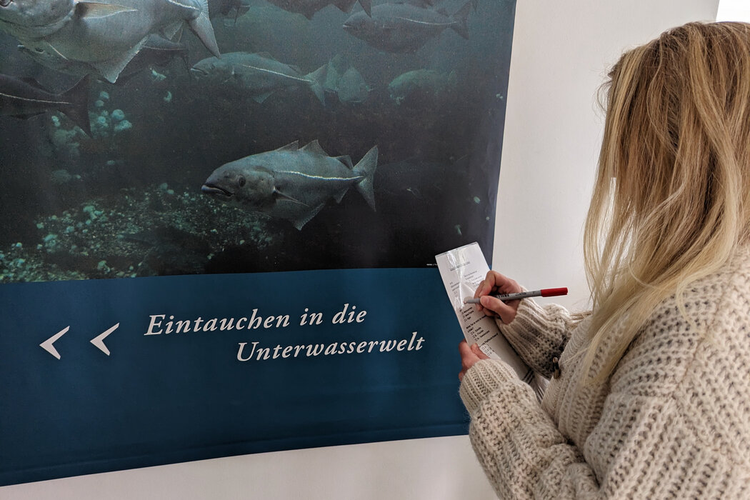 Watt´n Escape im Nationalpark Haus - Schafft ihr es der Flut zu entkommen? - Bente Timm Watt´n Escape im Nationalpark Haus - Schafft ihr es der Flut zu entkommen?