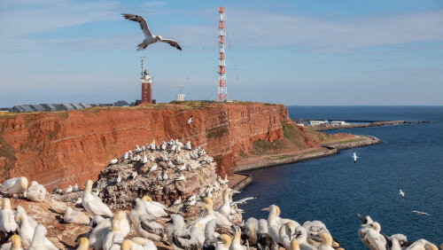 Mit dem Katamaran nach HELGOLAND