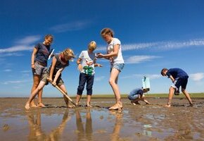 Kleine Wattwanderung auf Amrum