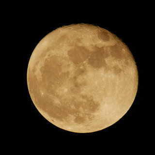 Earth Night: Sinnliche Nachtwanderung durch die Dünen