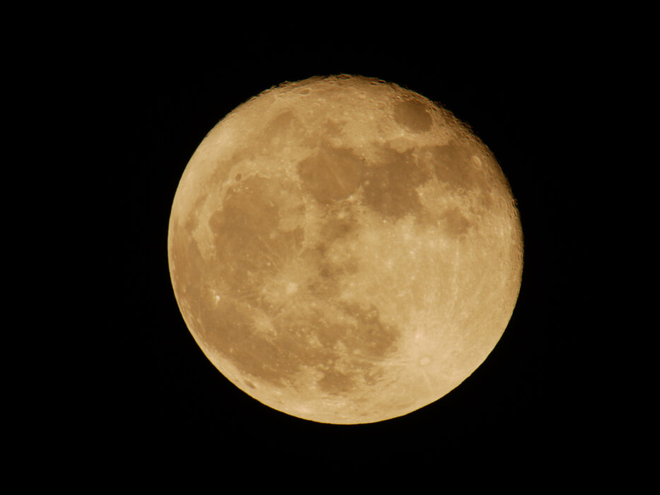 Earth Night: Sinnliche Nachtwanderung durch die Dünen