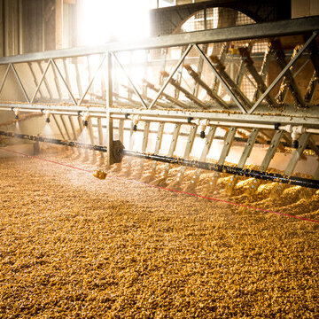 F&uuml;hrung mit kleinem Warehouse Tasting und anschlie&szlig;ender Whisky-Verkostung in unserer Whisky Lounge