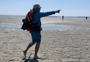 Die unendlichen Weiten des Wattes &ndash; Gef&uuml;hrte Wattwanderung Wyk S&uuml;dstrand