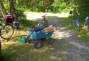 Hilf der Heidehummel 