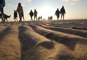 Die unendlichen Weiten des Wattes &ndash; Gef&uuml;hrte Wattwanderung Wyk S&uuml;dstrand