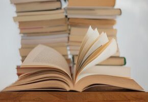 Bücher Lesen