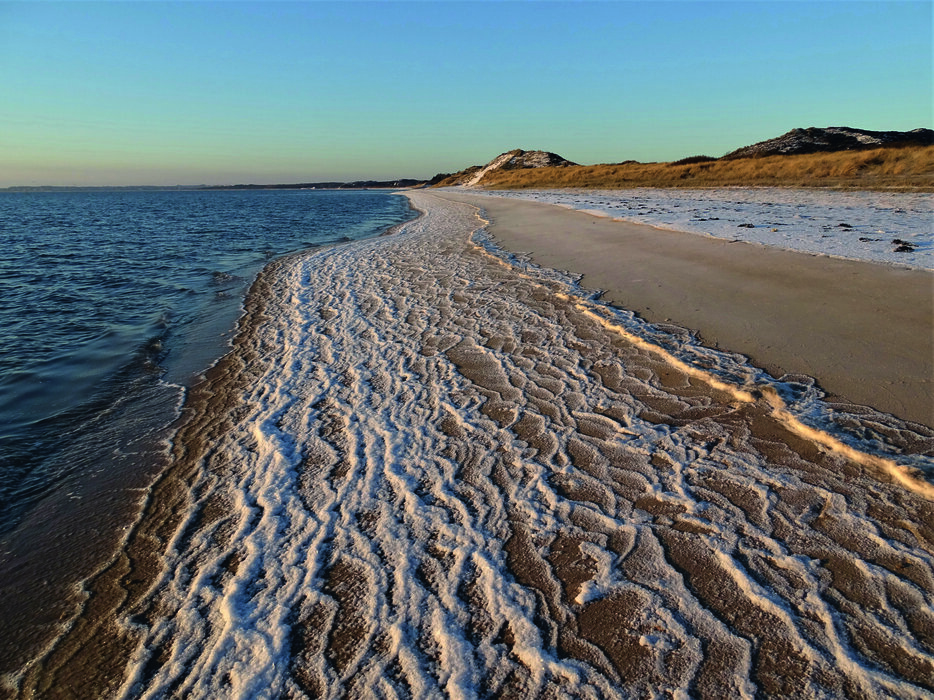 Vortrag und Lesung des Meeresforscher Karsten Reise zum Thema Strand