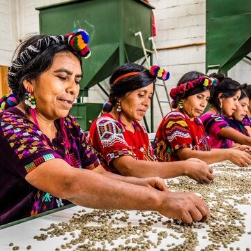 2024_WT_Frauen Chajul sortieren Kaffee _ (c) Opmeer Reports