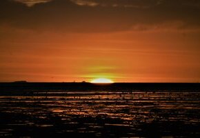 Wattwanderung in den Sonnenaufgang
