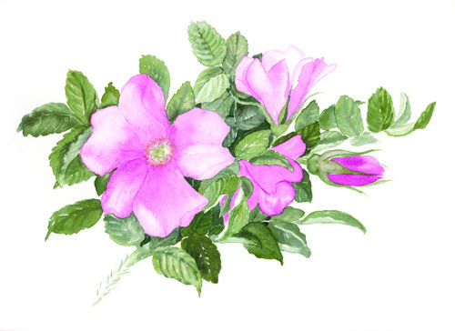 Birgitt Sokollek - Offenes Atelier