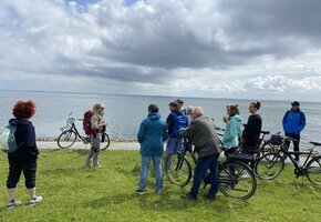 Kleine Vogelkundliche Radtour &ndash; Einblicke in die Vogelwelt von F&ouml;hr