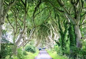 Auf der Reise durch Europa