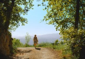 Niki de Saint Phalle