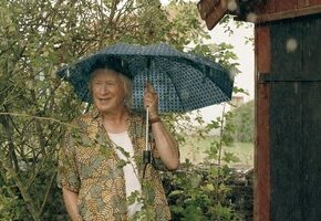 Der Regenmeister