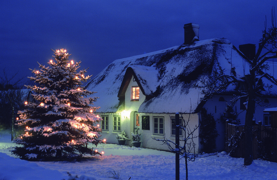 Tannenbaumverkauf auf dem Nebeler Sportplatz
