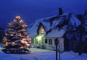 Tannenbaumverkauf auf dem Nebeler Sportplatz