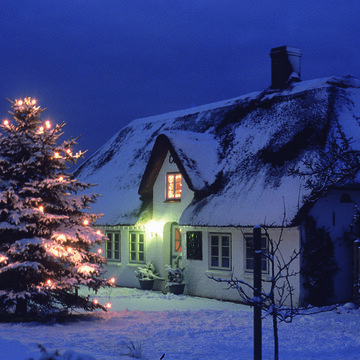 Tannenbaumverkauf auf dem Nebeler Sportplatz