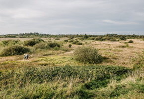 nkm-niebuell_gotteskoogsee-m_rohrbacher-3