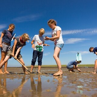Kleine Wattwanderung auf Amrum